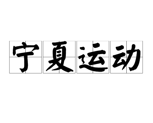 寧夏運動 寧夏運動