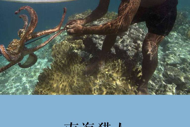 南海獵人 南海獵人