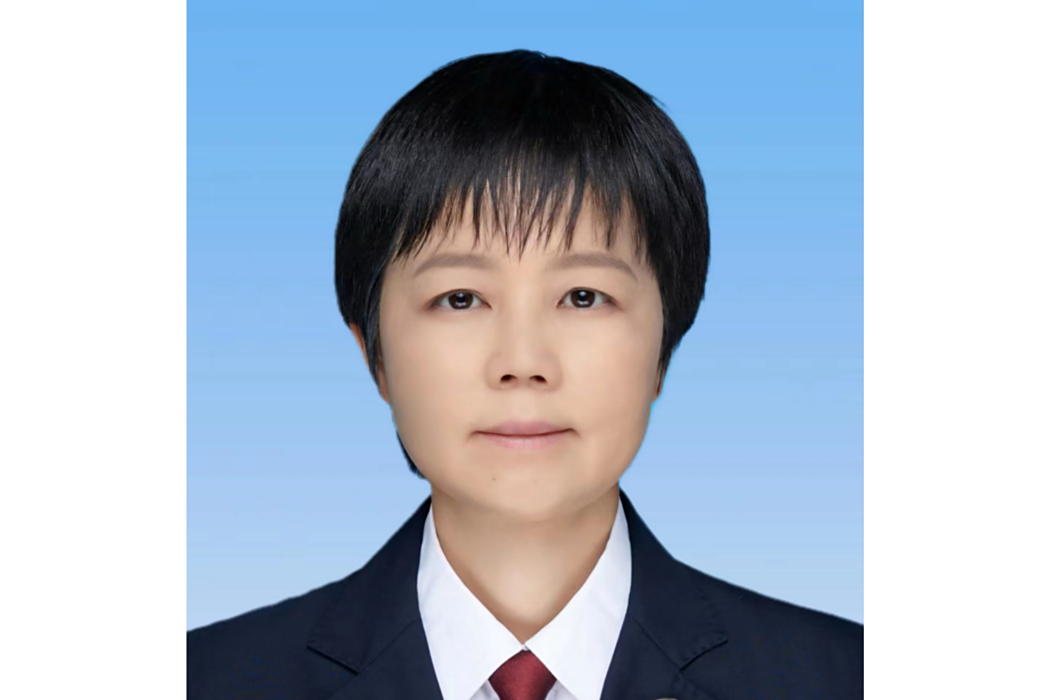 黃琳(新疆維吾爾自治區人民檢察院黨組成員、副檢察長(援疆),二級高級檢察官) 黃琳(新疆維吾爾自治區人民檢察院黨組成員、副檢察長(援疆),二級高級檢察官)