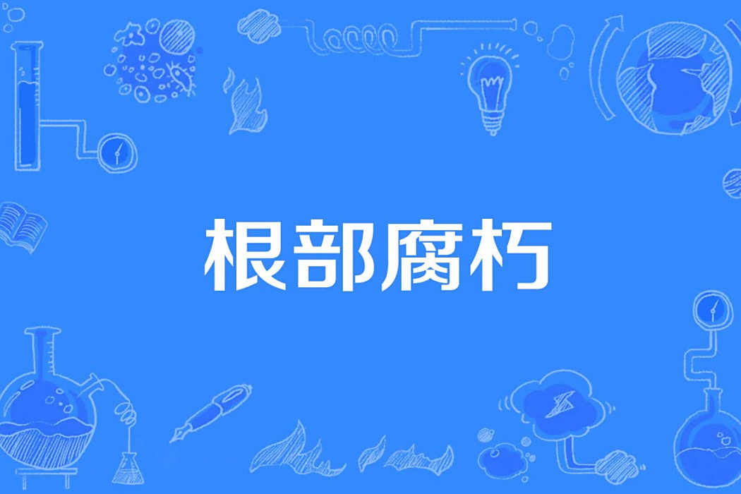 根部腐朽 根部腐朽
