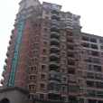 綠島花園(青島市市南區2004年建成的高層住宅小區) 綠島花園(青島市市南區2004年建成的高層住宅小區)
