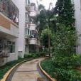民樂翠園 民樂翠園