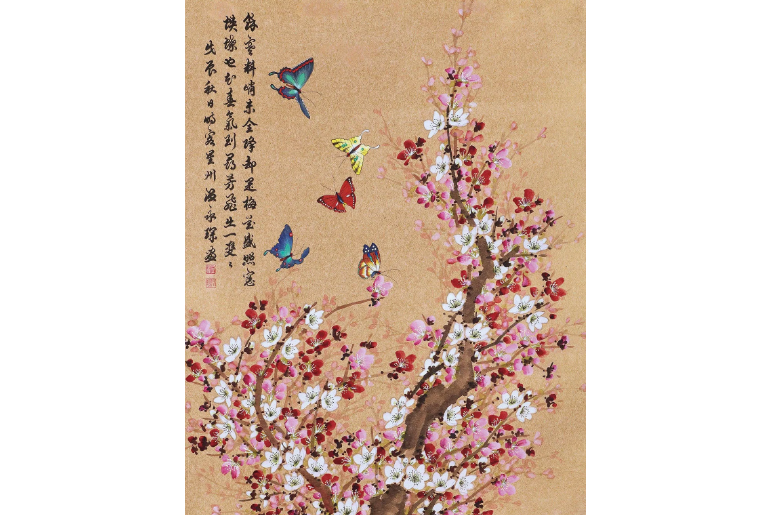 梅花蝴蝶