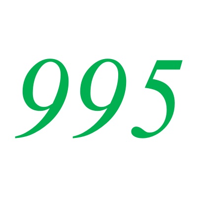 995(自然數之一)