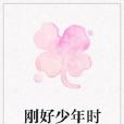 剛好少年時 剛好少年時