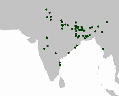 粉頭鴨地理分布