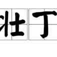 壯丁 壯丁