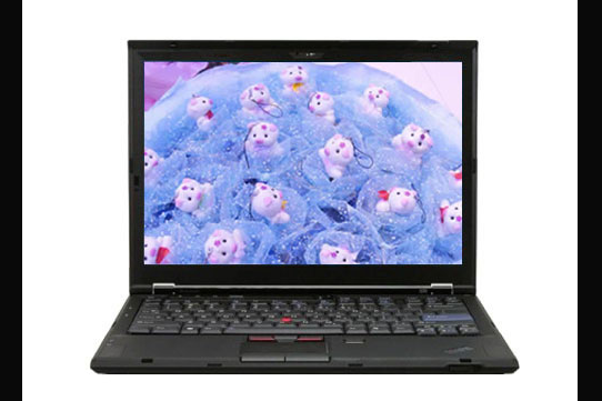 ThinkPad X300(6477HC2)(ThinkPad X300 6477HC2) ThinkPad X300(6477HC2)(ThinkPad X300 6477HC2)