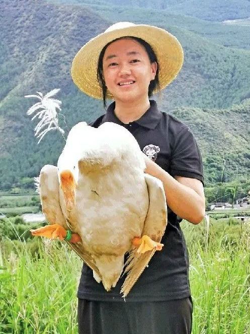 何永群 何永群