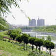 沁縣(山西沁縣) 沁縣(山西沁縣)
