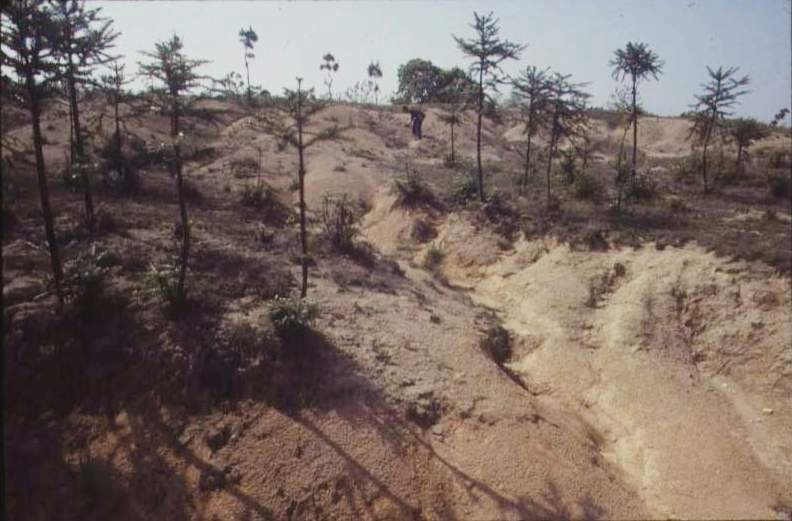湖北蘄春花崗岩丘陵片蝕、溝蝕現象