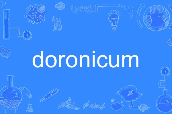 doronicum doronicum