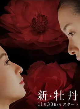 美山加戀