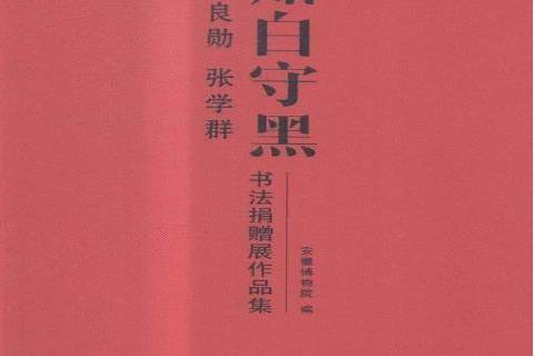 知白守黑(2015年安徽美術出版社出版的圖書)
