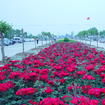 花池 花池
