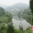 民和村(湖南省張家界市慈利縣零陽鎮下轄村) 民和村(湖南省張家界市慈利縣零陽鎮下轄村)