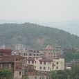 岐山村(福建南安市東田鎮下轄村) 岐山村(福建南安市東田鎮下轄村)
