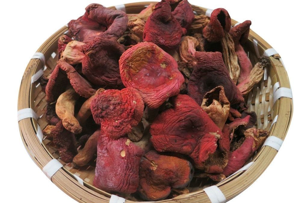 薑黃紅菇 薑黃紅菇