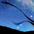 星空的祕密 星空的祕密
