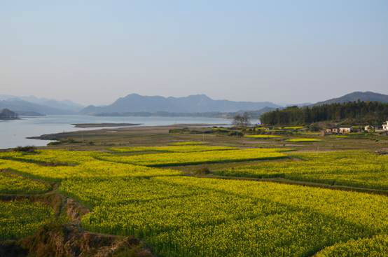 烏石鎮(安徽省黃山市烏石鎮)