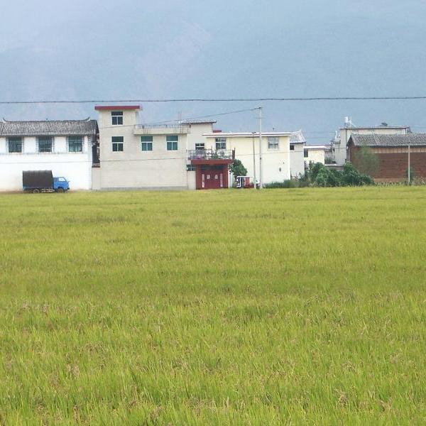 羊毛村