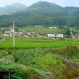 東風村(廣東省河源市龍川縣麻布崗鎮行政村) 東風村(廣東省河源市龍川縣麻布崗鎮行政村)
