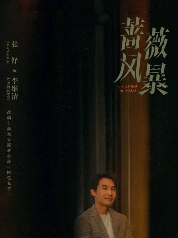 薔薇風暴(2024年惠楷棟執導的職場劇)