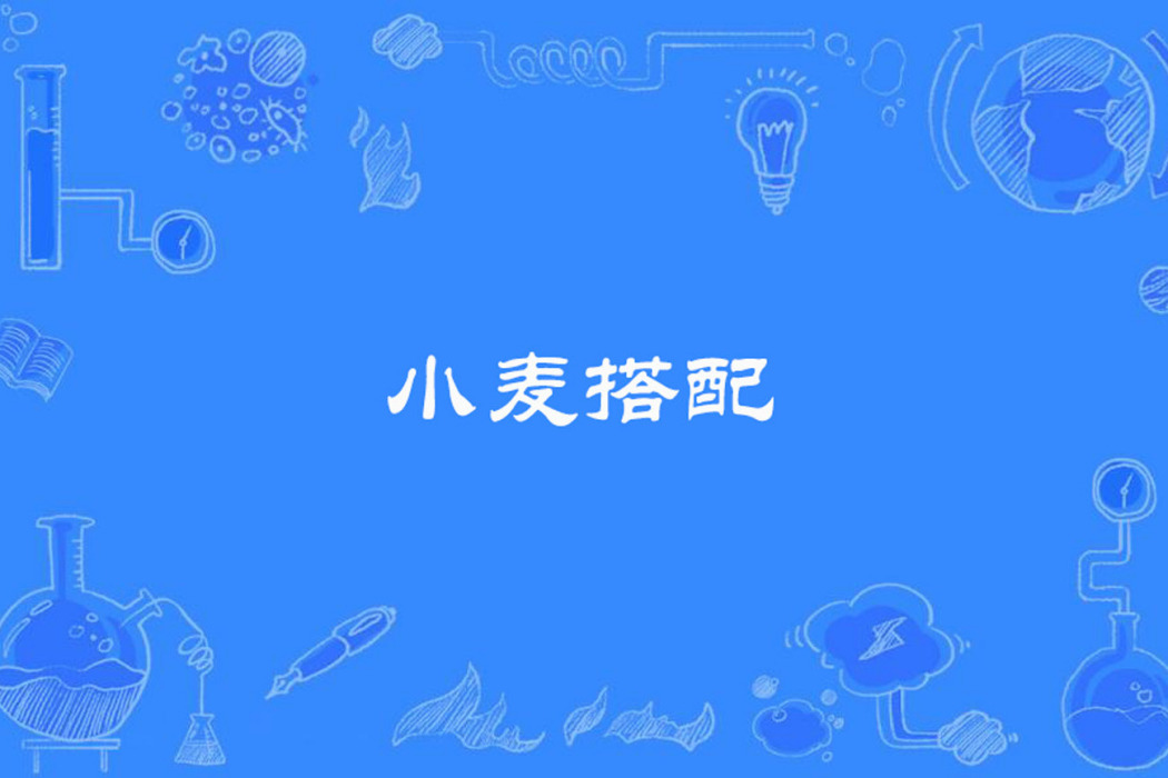 小麥搭配 小麥搭配