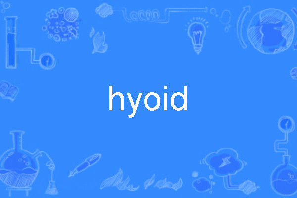 hyoid hyoid