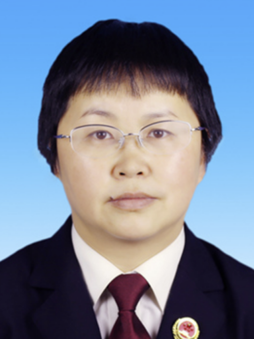 陳敏(四川省涼山彝族自治州金陽縣人民檢察院領導班子成員)