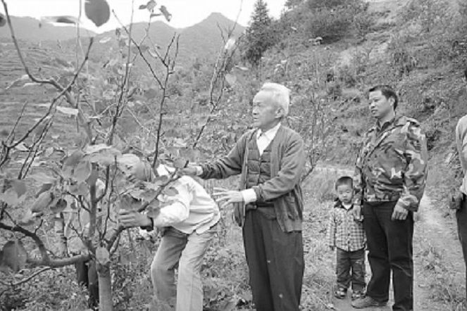 周澤鰲 周澤鰲