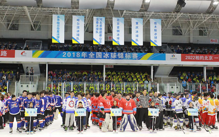 2018年全國冰球錦標賽
