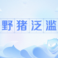 野豬泛濫