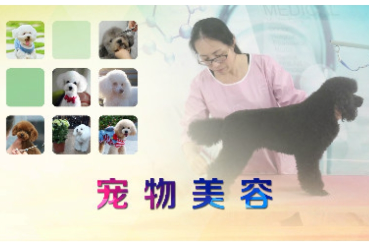 寵物美容(江蘇農牧科技職業學院提供的慕課) 寵物美容(江蘇農牧科技職業學院提供的慕課)