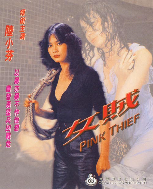 女賊(1982年岳千峰執導的台灣電影)