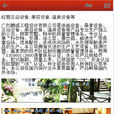 溫泉設計 溫泉設計