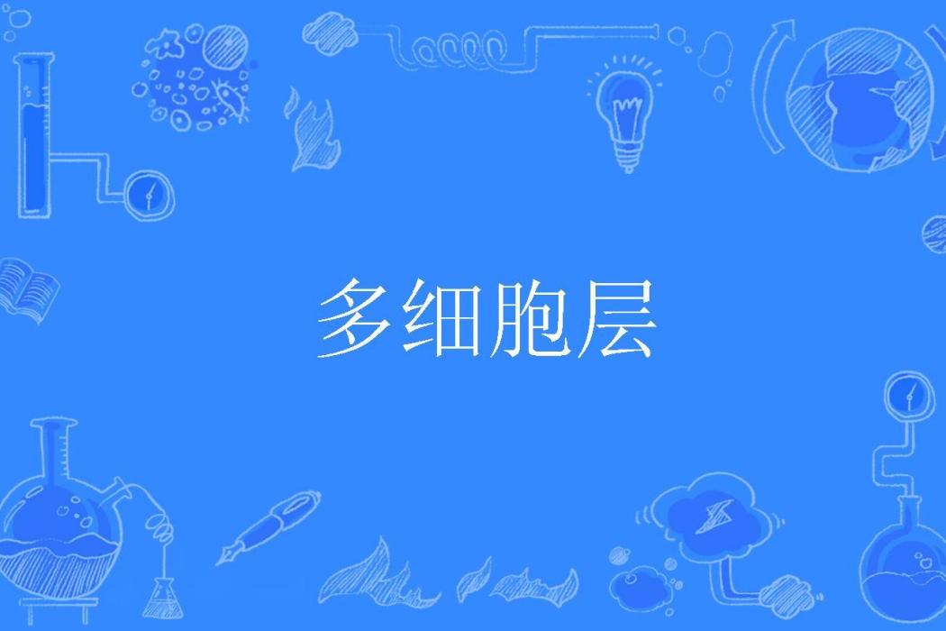 多細胞層 多細胞層