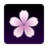 SAKURA壁紙 SAKURA壁紙
