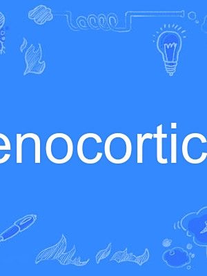 adrenocorticotro adrenocorticotro