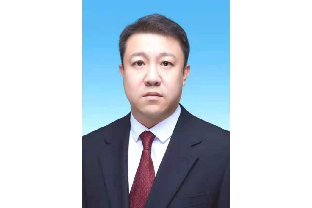 王帥(遼寧省鞍山市立山區政府黨組成員、副區長)
