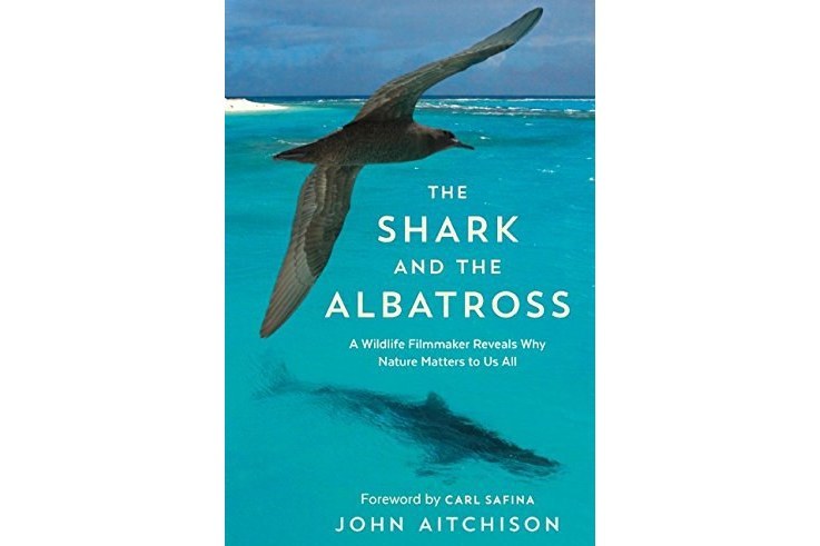 The Shark and the Albatross The Shark and the Albatross