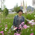林庭芳(西南大學政與公共管理學院教授)