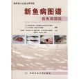 新魚病圖譜 新魚病圖譜