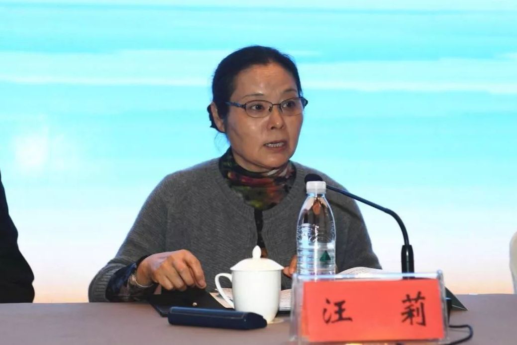 汪莉(上海大學法學院教授) 汪莉(上海大學法學院教授)