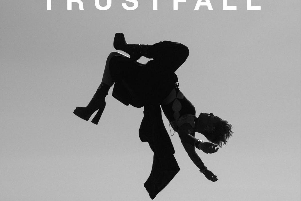 TRUSTFALL(P!NK演唱的歌曲) TRUSTFALL(P!NK演唱的歌曲)