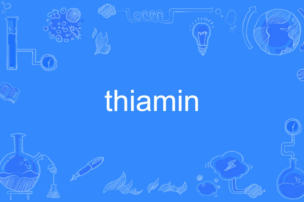 thiamin thiamin
