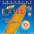 良玉22 良玉22