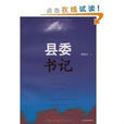 縣委書記(同名圖書) 縣委書記(同名圖書)