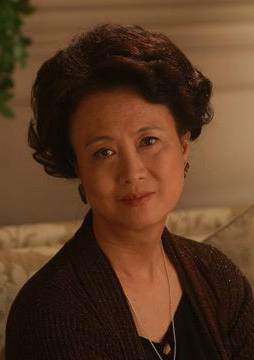閃婚(2010年王小康執導電視劇)