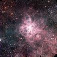 毒蜘蛛星雲 毒蜘蛛星雲
